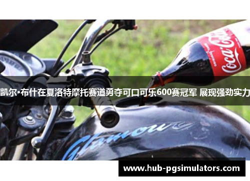 凯尔·布什在夏洛特摩托赛道勇夺可口可乐600赛冠军 展现强劲实力