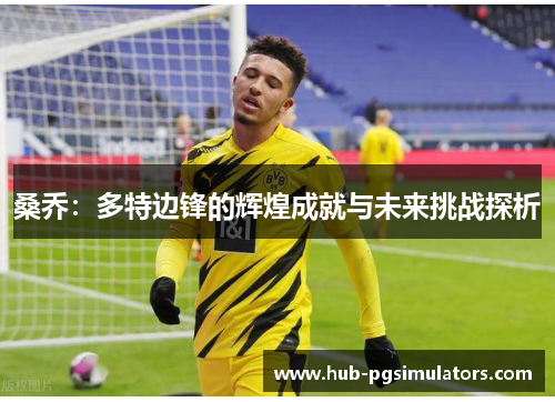 桑乔：多特边锋的辉煌成就与未来挑战探析