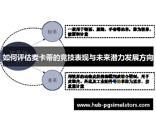 如何评估麦卡蒂的竞技表现与未来潜力发展方向