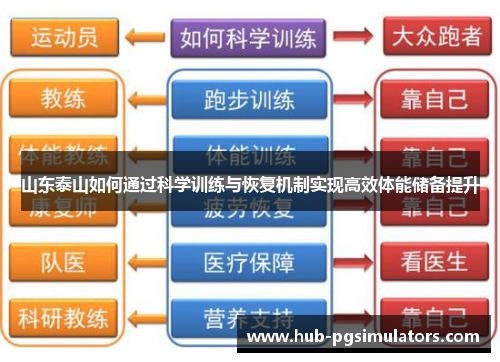 山东泰山如何通过科学训练与恢复机制实现高效体能储备提升