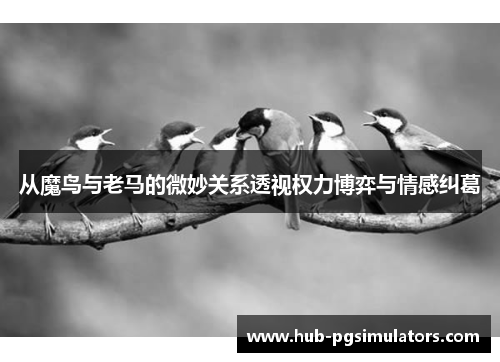 从魔鸟与老马的微妙关系透视权力博弈与情感纠葛