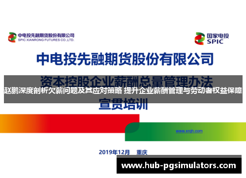 赵鹏深度剖析欠薪问题及其应对策略 提升企业薪酬管理与劳动者权益保障