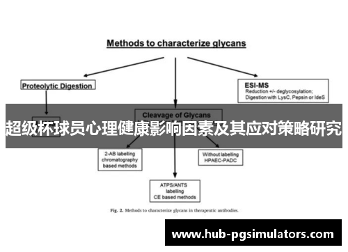 超级杯球员心理健康影响因素及其应对策略研究