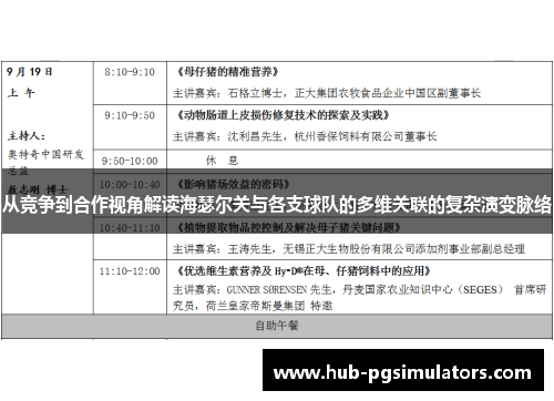 从竞争到合作视角解读海瑟尔关与各支球队的多维关联的复杂演变脉络