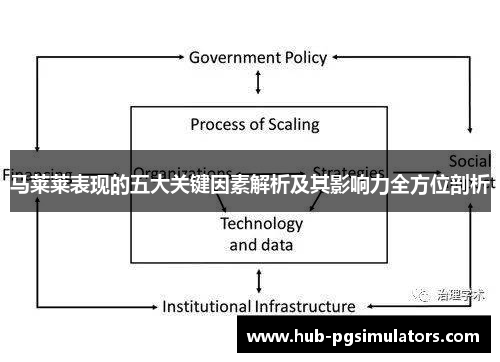 马莱莱表现的五大关键因素解析及其影响力全方位剖析